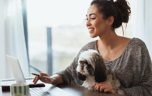 Your Network Preferences Prevent Content from Loading Privately on Mac